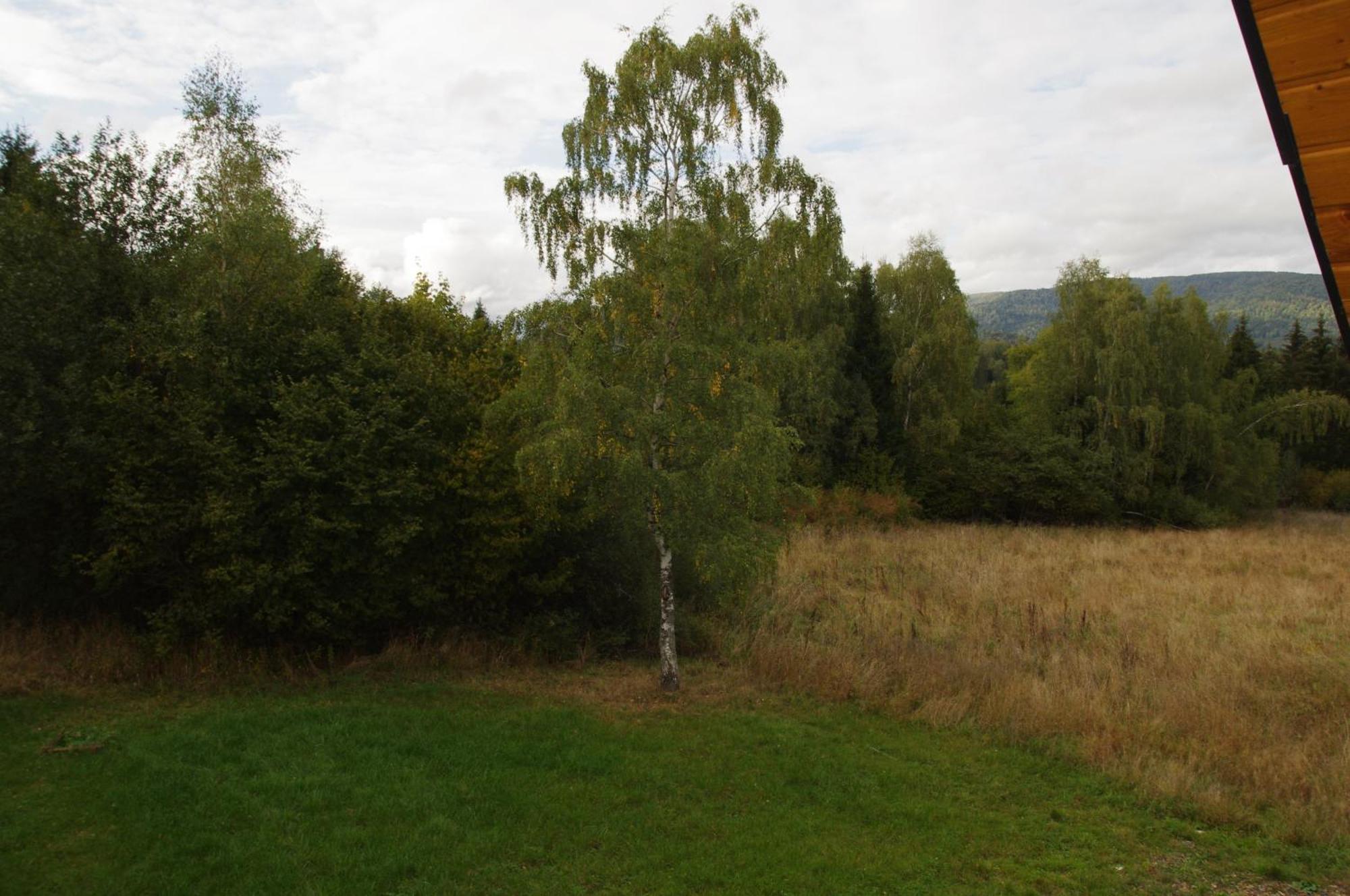 Magiczne Bieszczady - Smerek 86 Pensjonat Zewnętrze zdjęcie